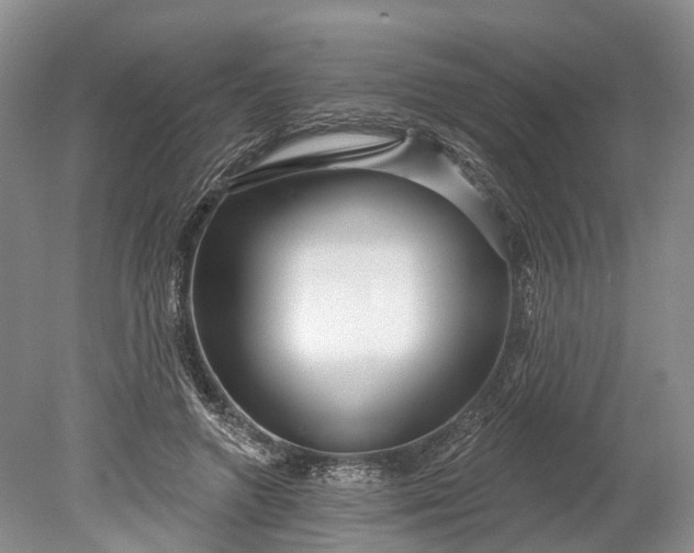 X0000078890546200611271355