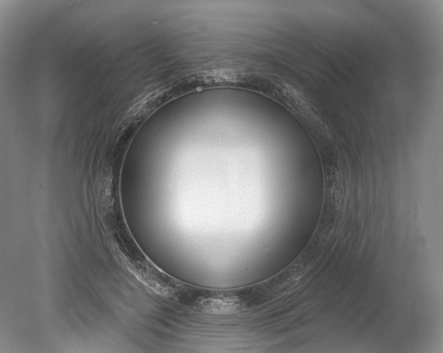 X0000078890548200611271355