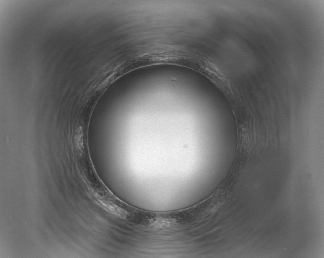 X0000078890549200611271355