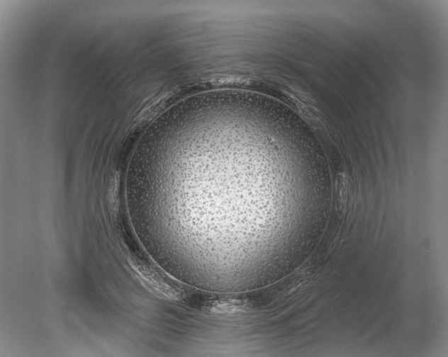 X0000078890550200611271355