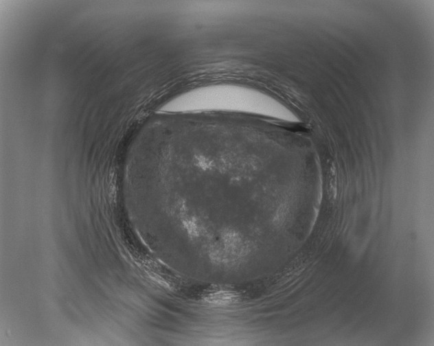 X0000078890551200611271355