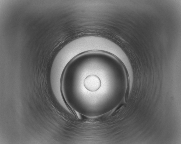 X0000078890556200611271355