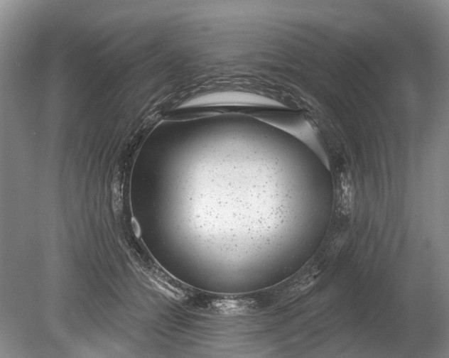 X0000078890558200611271355