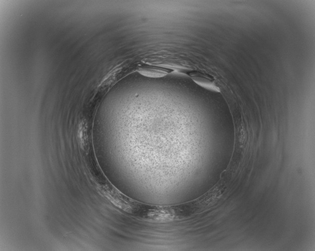 X0000078890559200611271355