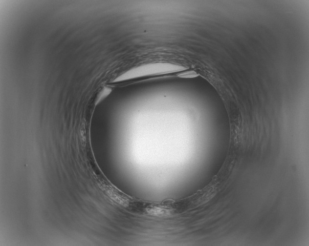 X0000078890561200611271355