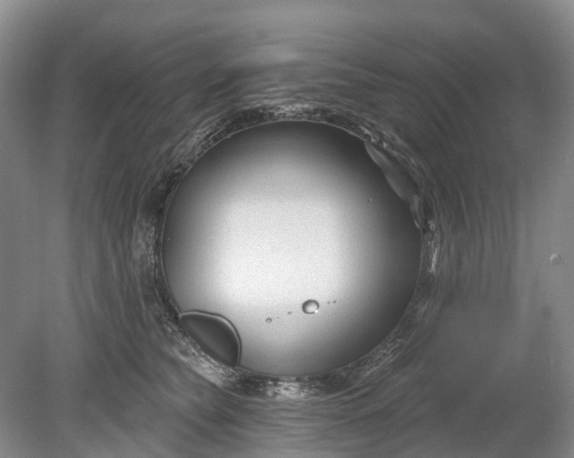 X0000078890565200611271355