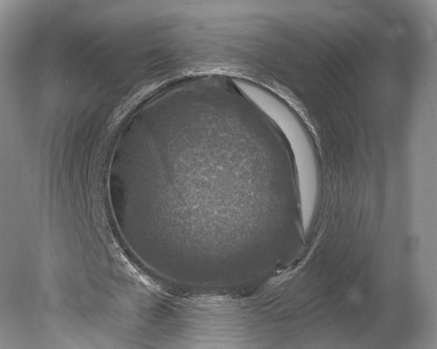 X0000078890577200611271355