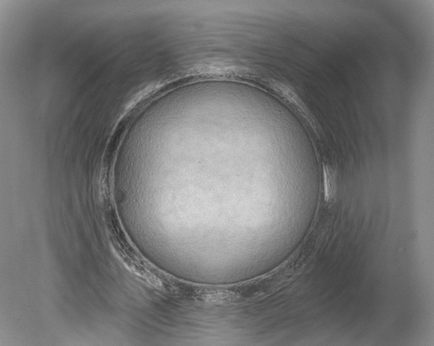 X0000078890579200611271355