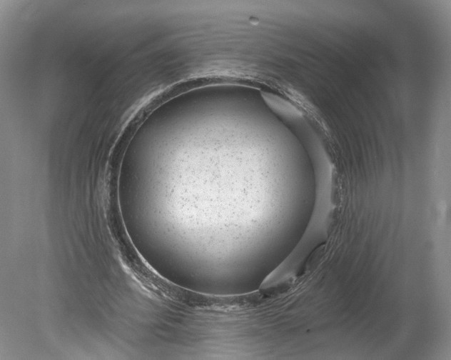 X0000078890580200611271355