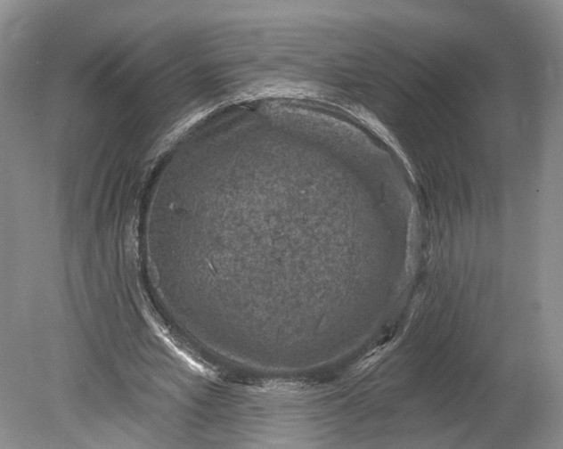 X0000078890581200611271355