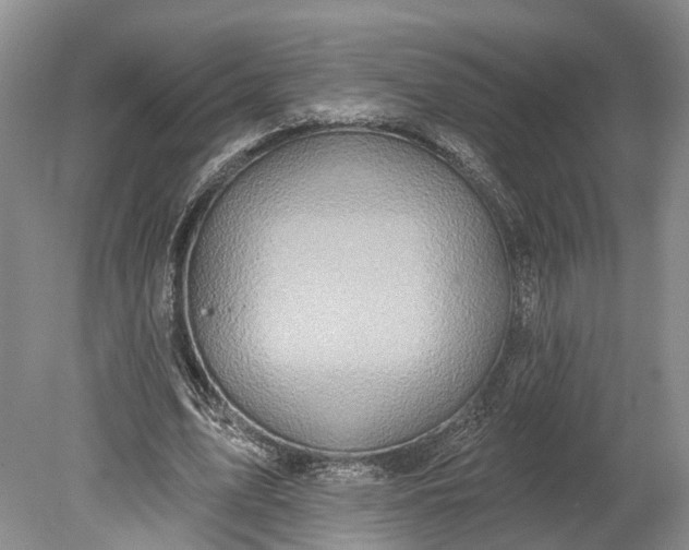 X0000078890583200611271355