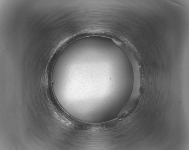 X0000078890584200611271355