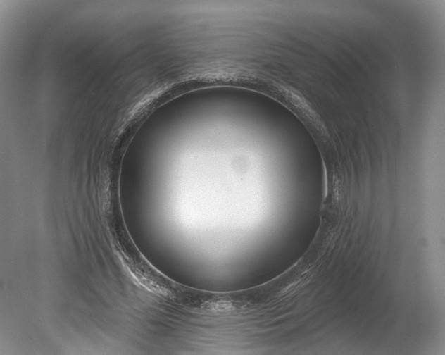 X0000078890588200611271355