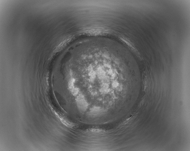 X0000078890590200611271355