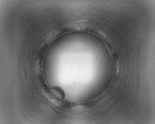 X0000078890594200611271355