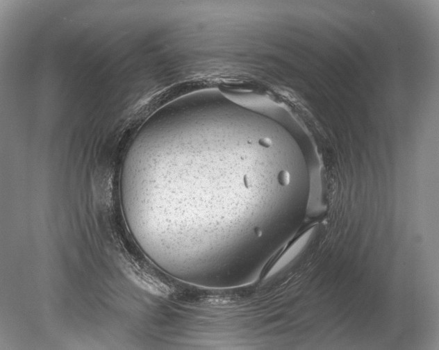 X0000078890596200611271355