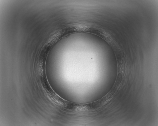 X0000078890599200611271354