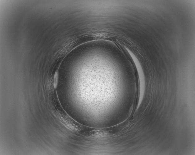 X0000078890601200611271354