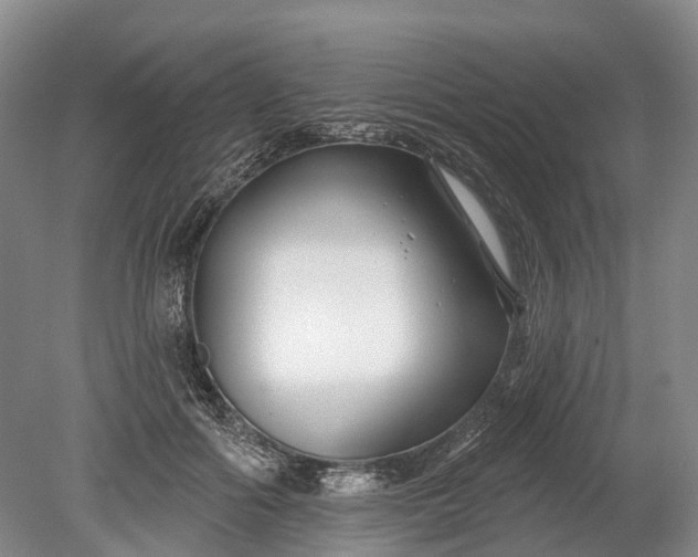 X0000078890602200611271354