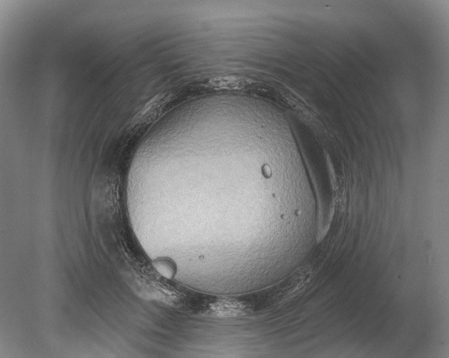 X0000078890603200611271354