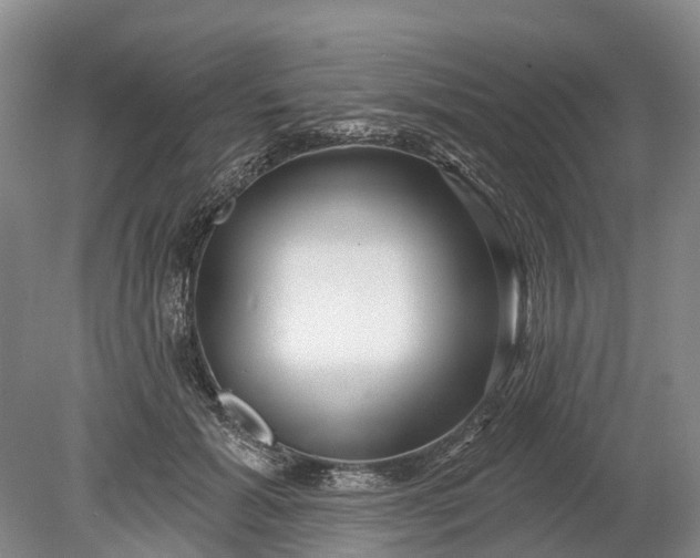 X0000078890605200611271354