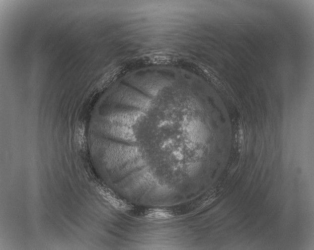 X0000078890610200611271354