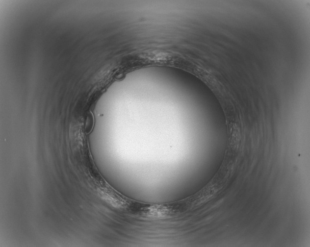 X0000078890612200611271354