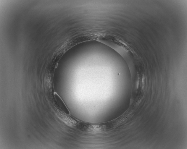 X0000078890613200611271354