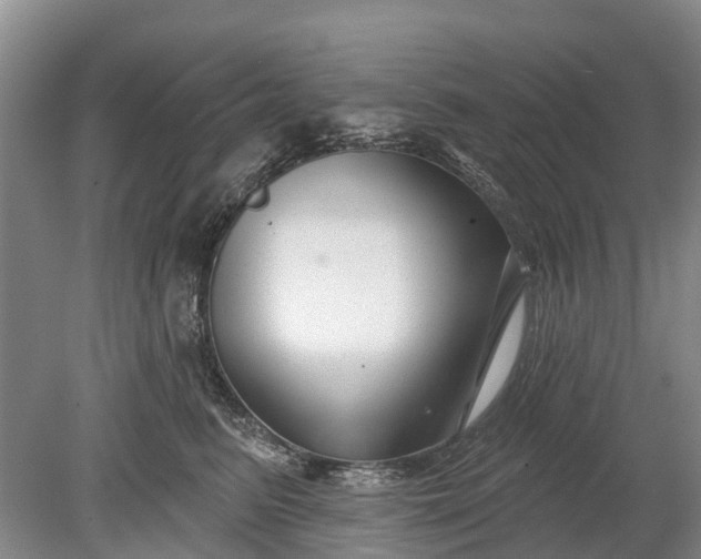 X0000078890615200611271354