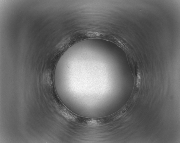 X0000078890616200611271354