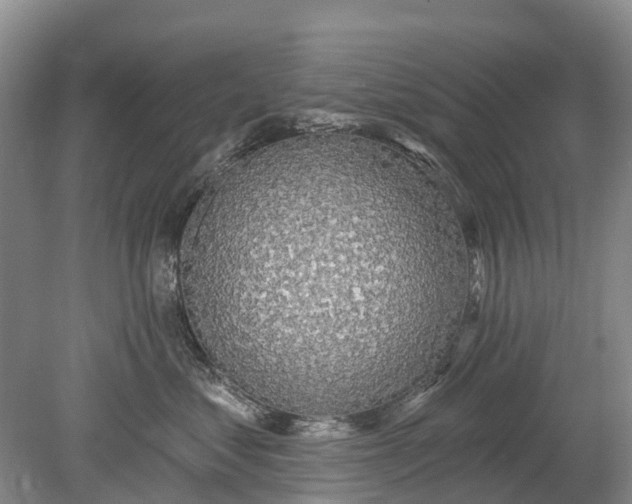 X0000078890621200611271354