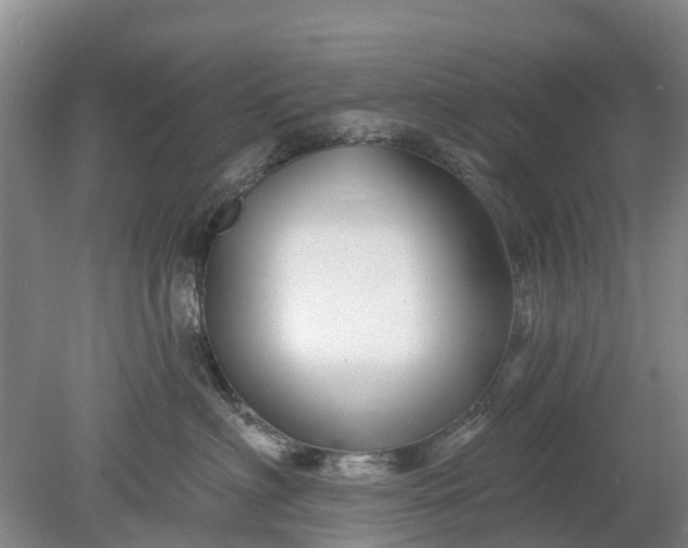 X0000078890622200611271354