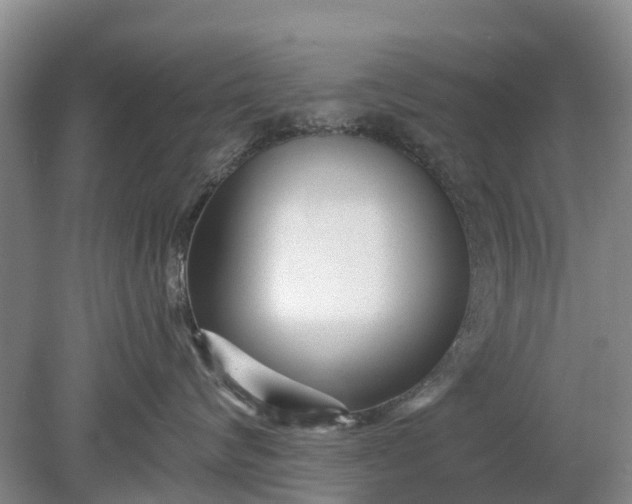 X0000078890624200611271354