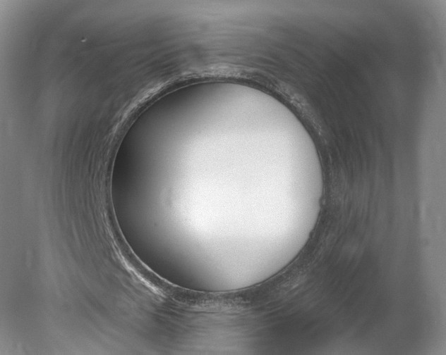 X0000078890625200611271353