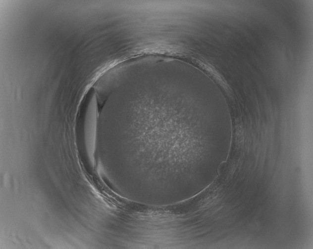 X0000078890626200611271353