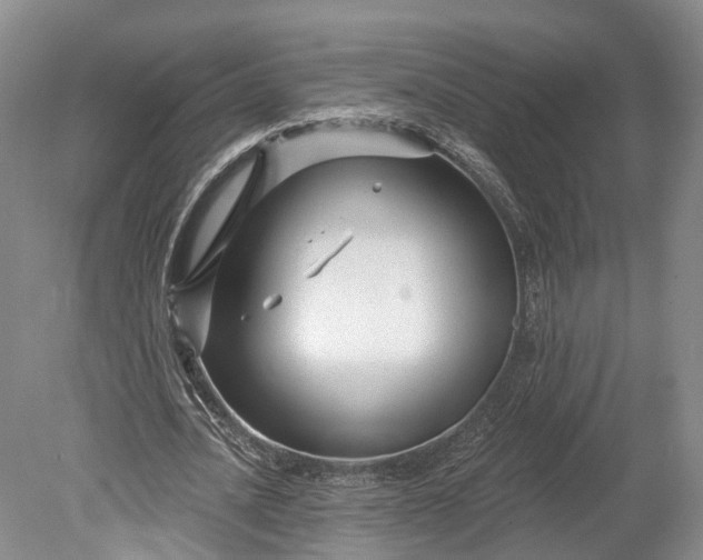 X0000078890628200611271353