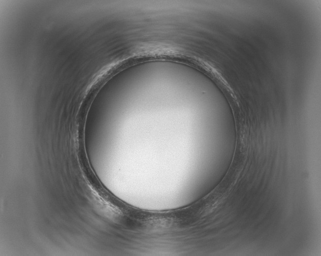 X0000078890629200611271353