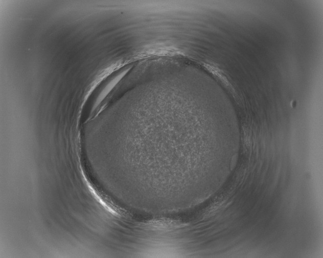 X0000078890630200611271353