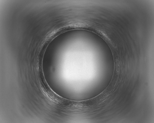 X0000078890631200611271353