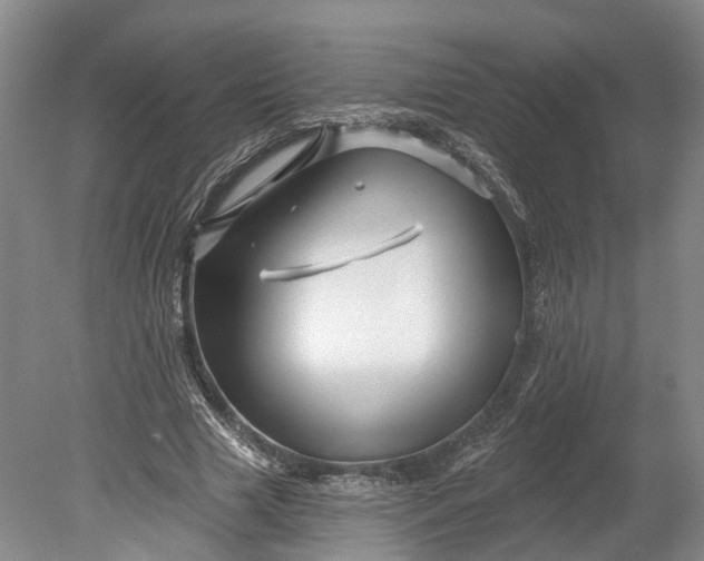 X0000078890633200611271353