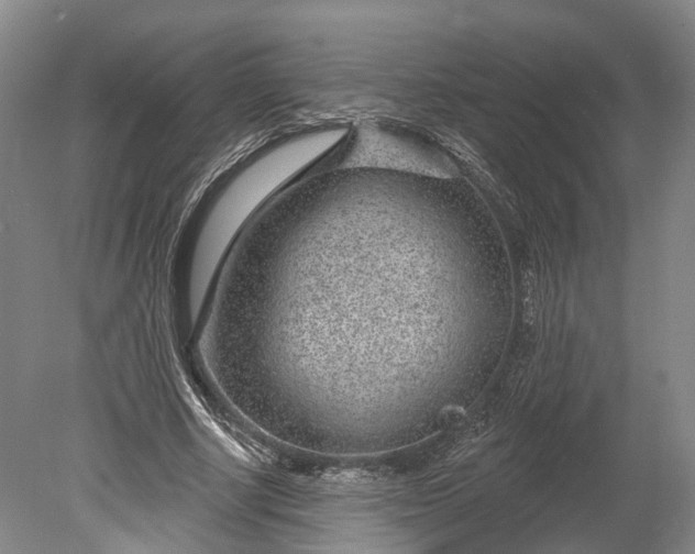 X0000078890634200611271353