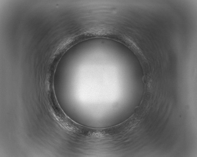 X0000078890635200611271353