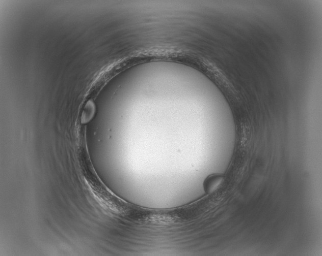 X0000078890636200611271353