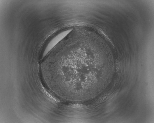 X0000078890637200611271353