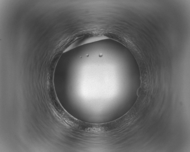 X0000078890639200611271353