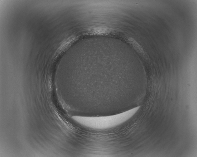 X0000078890640200611271354