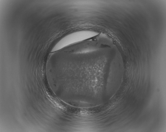 X0000078890641200611271354