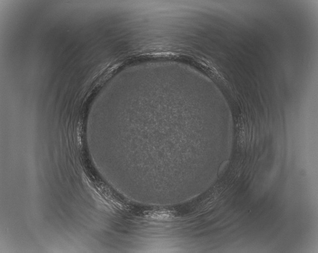 X0000078890643200611271354