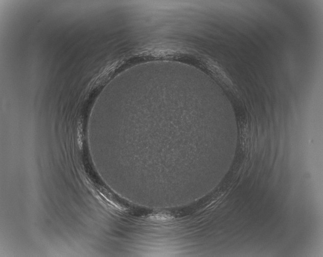 X0000078890644200611271354