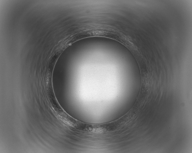 X0000078890645200611271354